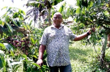 « Si rien n’est fait, d’ici cinq ans, on ne parlera plus du café au Cameroun »