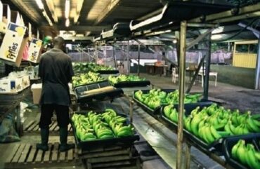 Faillite : Près de 2 000 ouvriers réclament leurs salaires à la SPM