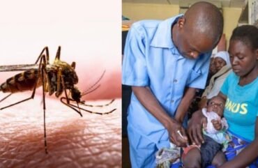 Santé : Plus 2 millions de cas de paludisme pour 3 mille décès au Cameroun en 2018