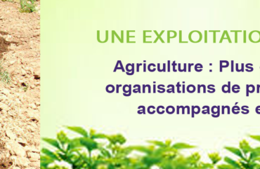 Agriculture : Plus de 9 mille organisations de producteurs accompagnés en 2019