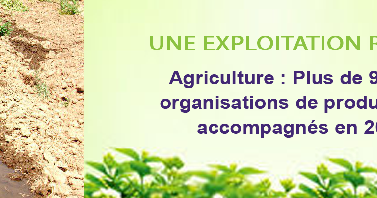 Agriculture : Plus de 9 mille organisations de producteurs accompagnés en 2019