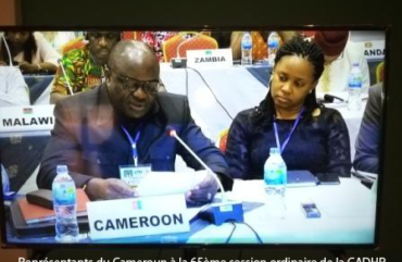 Crise anglophone : 65 organisations de la société civile alertent la CADHP