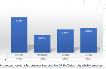 Conditions de détention: 206 détenus décédés en 2016 au Cameroun