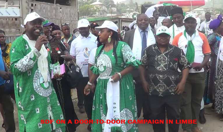 Elections 2020:Political Parties Brave Armed Secessionist Scare, Hold Campaign Rallies