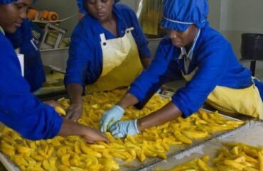 COVID-19 : Près de 25 millions d’emplois menacés dans le monde