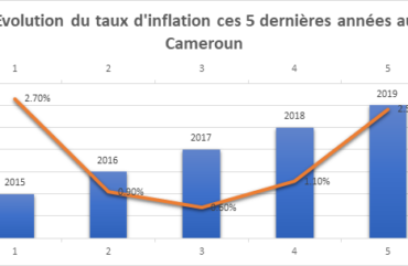 Consommation : En hausse, l’inflation au Cameroun atteint 2,5% en 2019