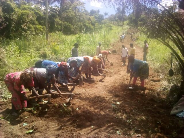 Anglophone Crisis: Villagers Bulldoze Motorable Farm to Market Roads Barehanded