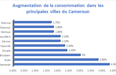 Consommation : Le niveau général des prix en hausse de 2,5% au Cameroun
