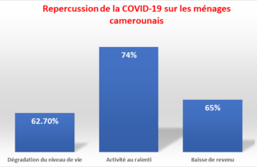 Covid-19 : L’activité économique en Afrique se contracte de 2,8 % en 2020