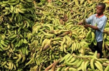 Consommation: Les prix des denrées alimentaires en hausse