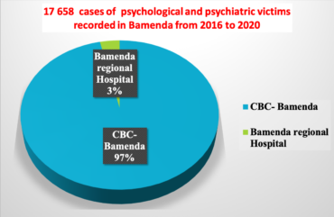 Anglophone Crisis: More than 17 168 cases of psychological and psychiatric damage recorded in Bamenda