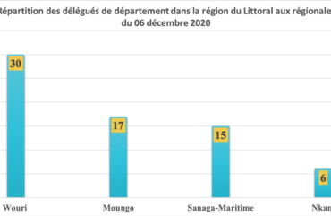 Elections régionales : 3 partis en lice dans le Wouri