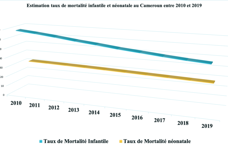 Mortalité infantile : un nouveau-né sur 38 décédé en 2019 au Cameroun