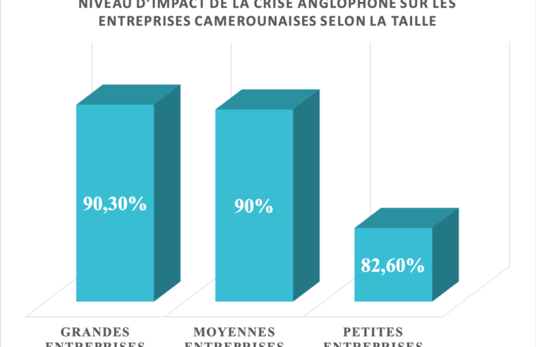 Crise anglophone : Plus de 88% des entreprises affectées au Cameroun