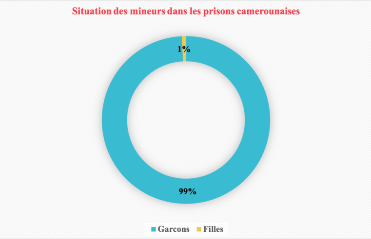 Justice : Plus de 700 mineurs écroués dans les prisons camerounaises