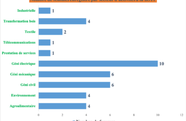 Entrepreneuriat féminin : 3 entreprises sur 10 créées par les femmes au Cameroun