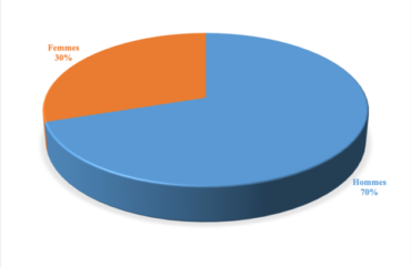 E-commerce : Glotelho sur les traces de Jumia