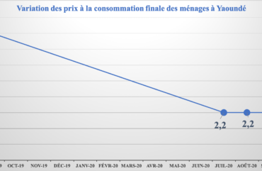 Consommation : En septembre 2020, Douala et Yaoundé ont enregistré une inflation de 0,2%