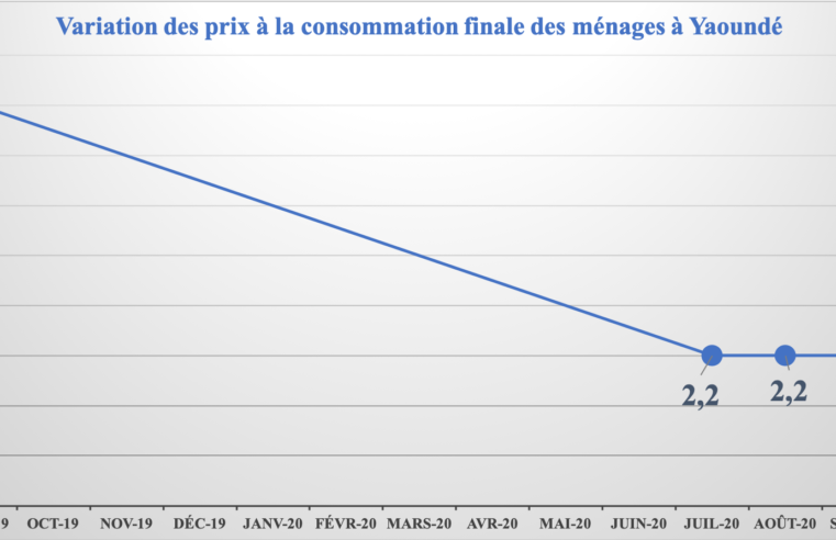 Consommation : En septembre 2020, Douala et Yaoundé ont enregistré une inflation de 0,2%