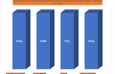 Cacao :  La région de l’Est enregistre un déficit annuel de plus de 95 mille tonnes