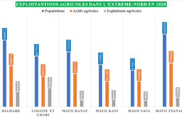Extrême-Nord : La Covid-19 expose la région à une insécurité alimentaire