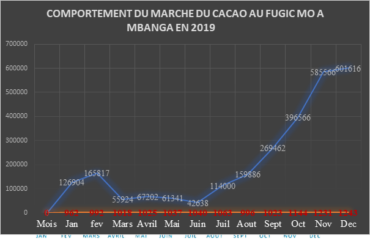 Covid-19 : A Mbanga, le prix du kilogramme de cacao passe de 1300 à 905 F Cfa