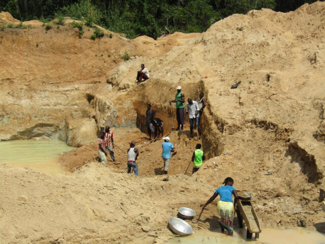 Exploitation minière : 03 pachydermes décédés à moins de six mois à l’Est