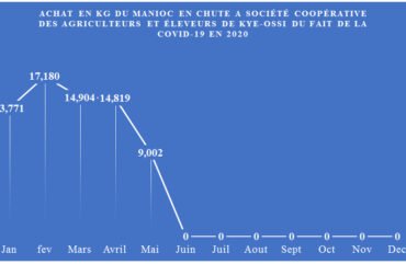 Covid-19 : A Kye-Ossi, le secteur d’élevage affecté à près de 40%