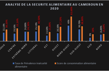 Étude: La sécurité alimentaire s’est dégradée de 7,6% au Cameroun