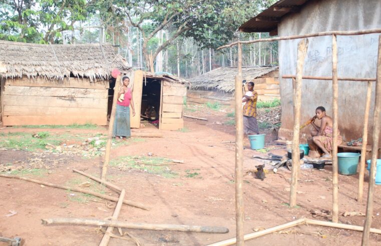 Covid-19 : Les minorités Baka de l’Est malades de la « pandémie » économique