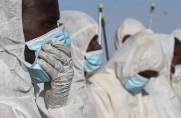 Covidgate : Trois ministères sur 21, « zappent » la Chambre des Comptes