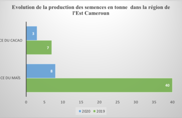 Agriculture : L’Est enregistre un déficit de 38 tonnes de semences améliorées