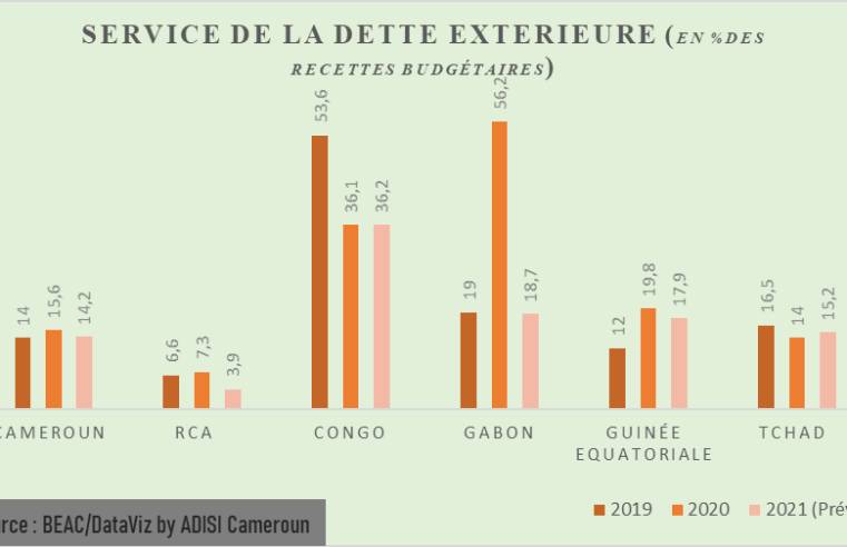 CEMAC : Au Cameroun, le taux de croissance passe de 3,7% en 2019 à -1,0% en 2020