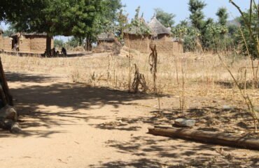 Extrême-Nord : Pour son essor, la région mise sur  ses handicaps