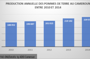 Adamaoua : la production de pomme de terre passe de 29 à 12 tonnes par hectare.