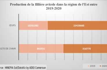 Filière avicole : Pénurie des intrants importés et des œufs à couver à l’Est