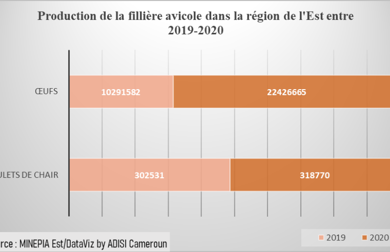 Filière avicole : Pénurie des intrants importés et des œufs à couver à l’Est
