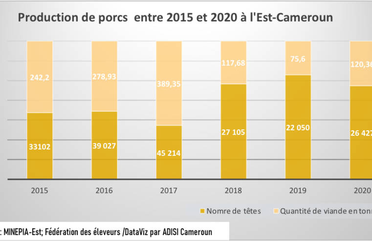 Elevage : la filière porcine en pleine dégringolade à l’Est