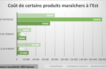 Covid-19 : La pandémie déstabilise le marché des cultures maraichères à l’Est