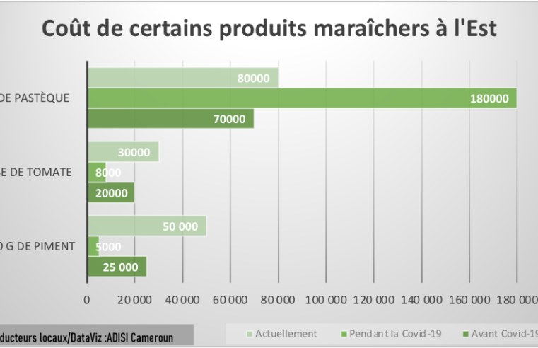 Covid-19 : La pandémie déstabilise le marché des cultures maraichères à l’Est