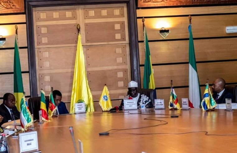 Zone Cemac : Vers la relance économique des pays membres