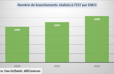 Electricité : Près de 98 millions FCfa perdus chaque mois à l’Est