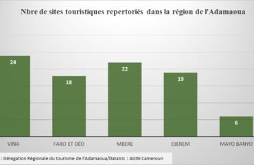 Adamaoua : Paralysé par la Covid-19, le tourisme peine à se relever