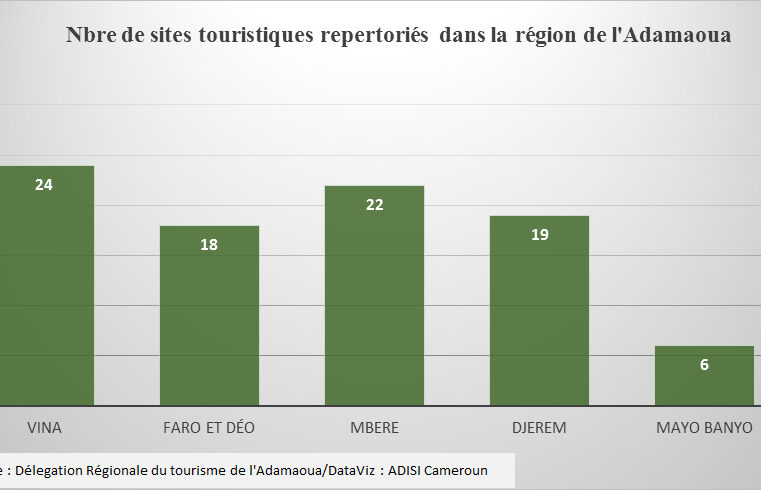 Adamaoua : Paralysé par la Covid-19, le tourisme peine à se relever