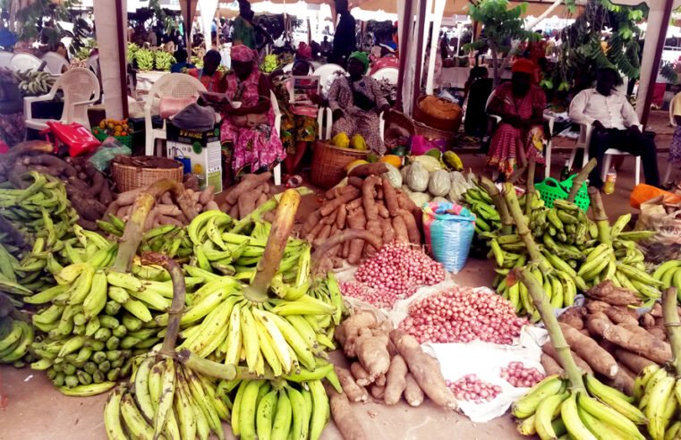 Budget d’Etat 2022 : Le gouvernement mise  sur la production locale