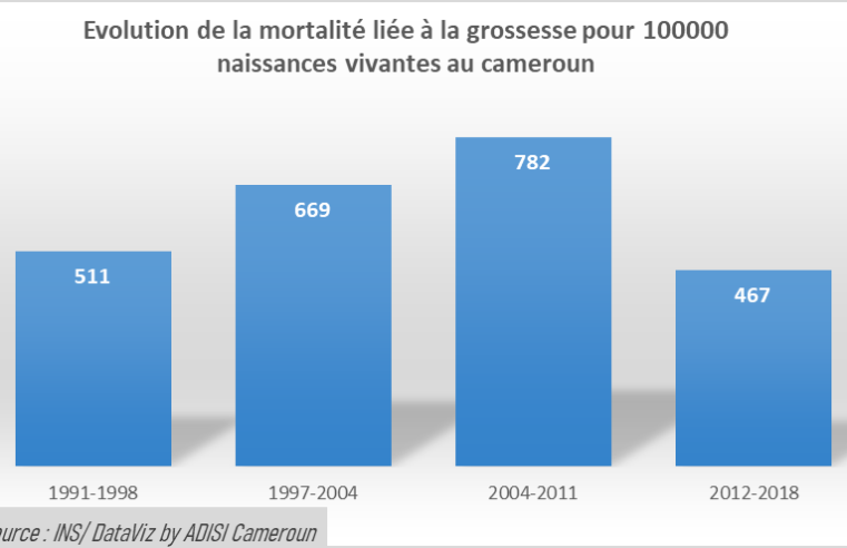 Maternité : La mortalité liée à la grossesse passe de 782 en 2011 à 467 pour 100 000 naissances vivantes sur la période 2012-2018