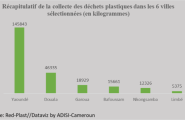 Environnement : 244 469 kg de déchets plastiques collectés dans six villes du Cameroun