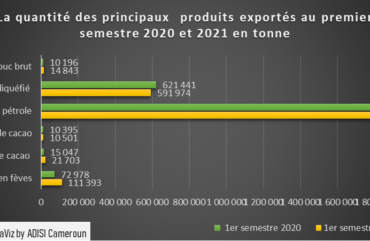 Commerce Extérieur : Le Cameroun enregistre un déficit commercial de 744 milliards F Cfa