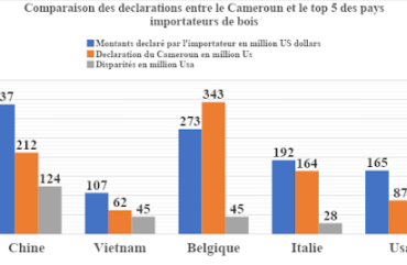 Exportation de bois : Plus de 173 milliards Fcfa non déclarés par le Cameroun