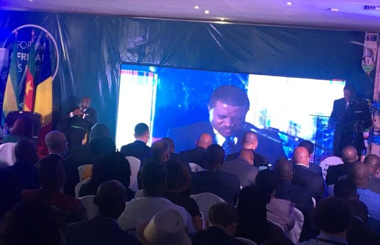 Trafic portuaire : Bientôt le trium Douala-Kribi-Manoka